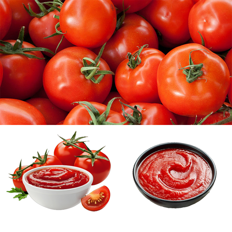 Horizontal Premade Bag Ketchup Packing Machine